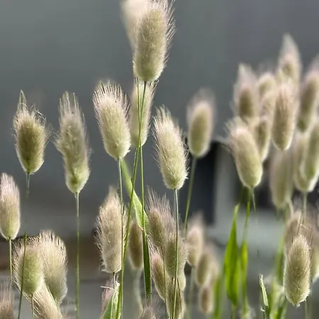 Face Aux Isles 펜션 Saint-Marcouf