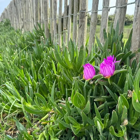 펜션 Face Aux Isles *