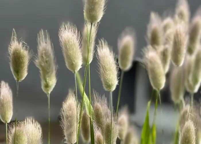 Face Aux Isles Ferienhaus Saint-Marcouf